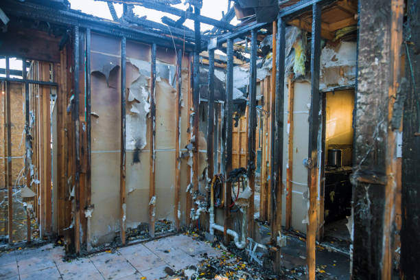 Professional Fire Damage Removal technician working in North Fort Myers, FL