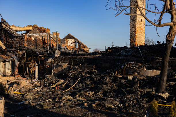 Reliable Fire Damage Removal contractor in North Fort Myers, FL by Fire Damage Doption