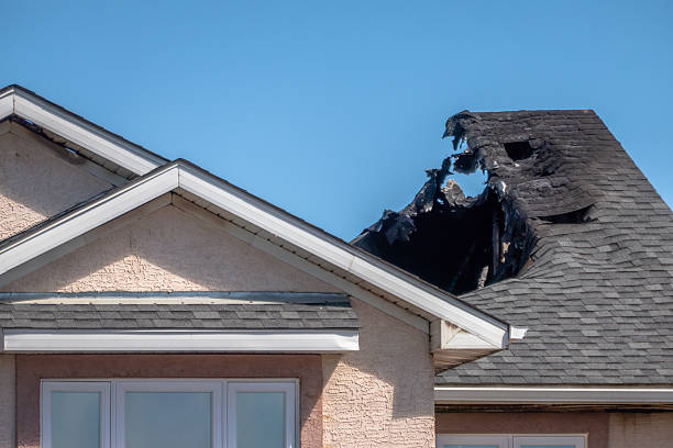 Top rated local Fire Damage Removal specialists in North Fort Myers, FL